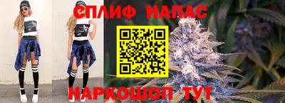 СК Обнинск